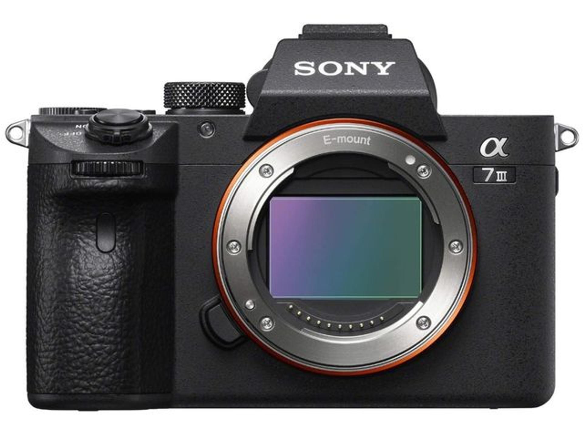 24.2MP Resolution gives shots with lifelike detail