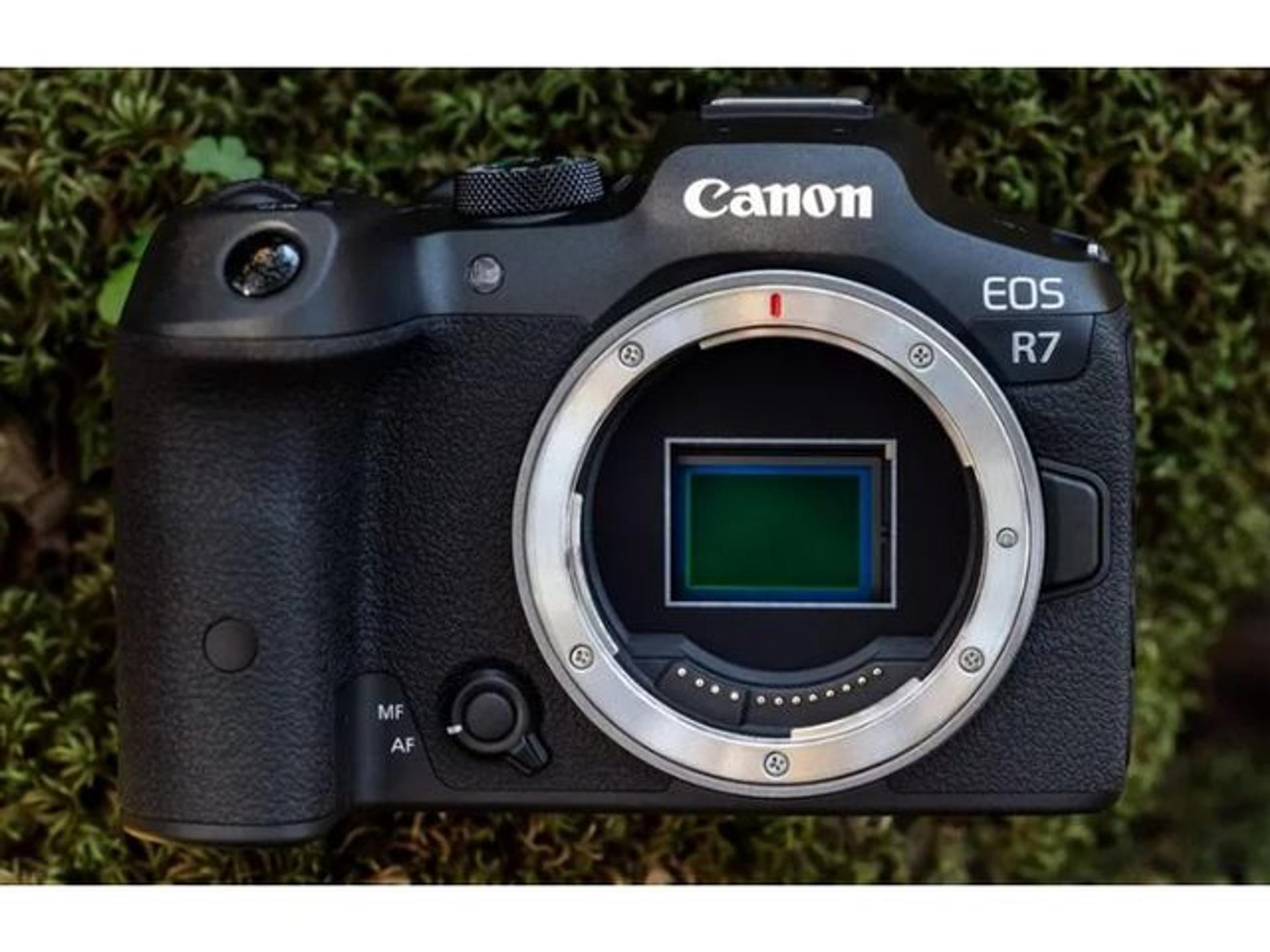32.5 megapixel APS-C sized sensor