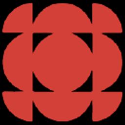 Nelson Photo & Video logo